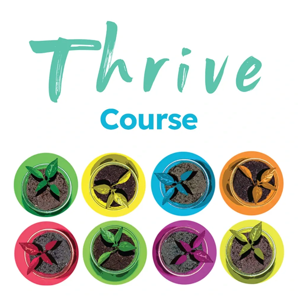 Thrive Course (Download)