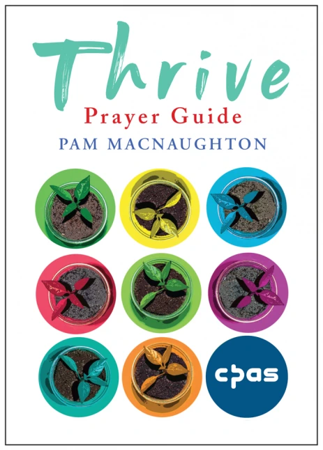 Thrive Prayer Guide (Pack of 25)