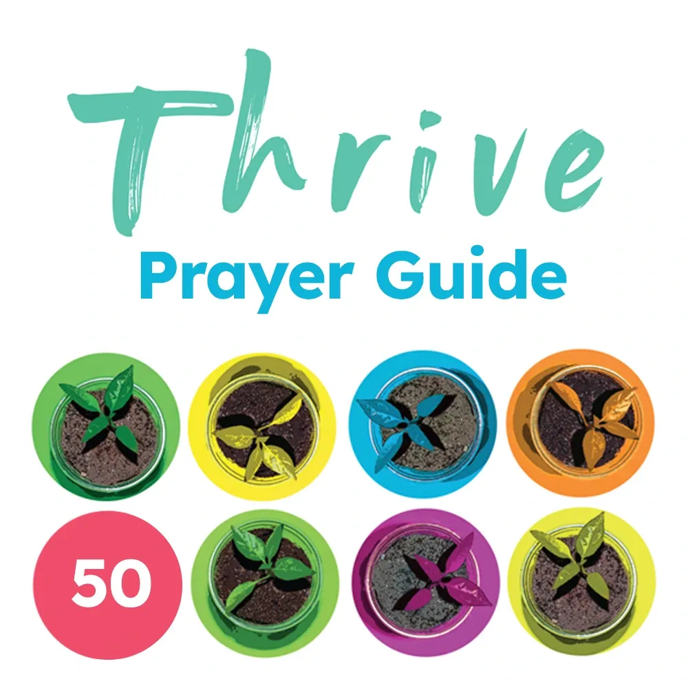 Thrive Prayer Guide (Pack of 50)